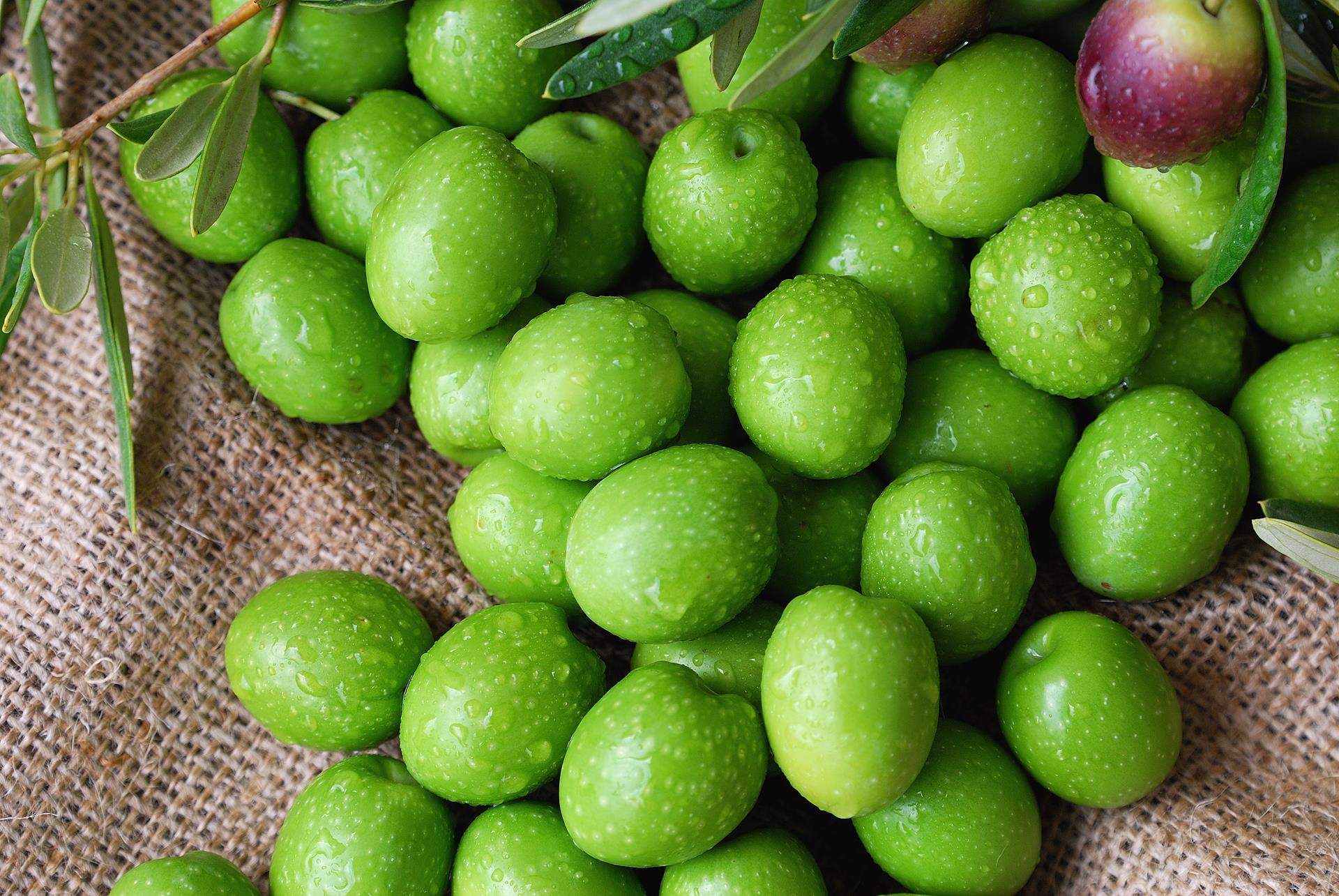 Handmade Freshly Green Olives - Image 5