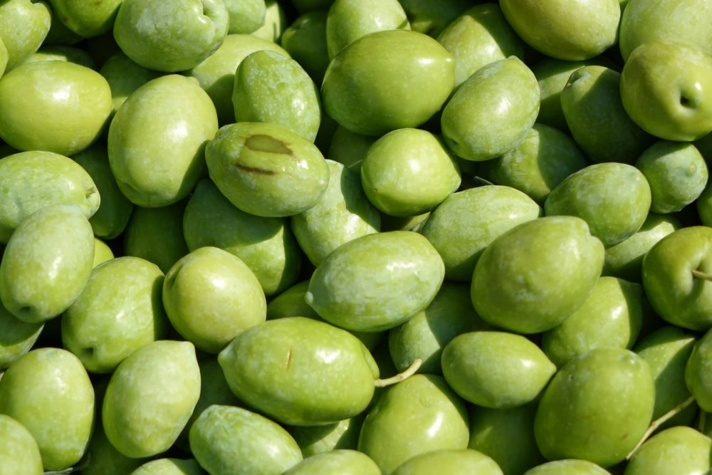 Handmade Freshly Green Olives - Image 3