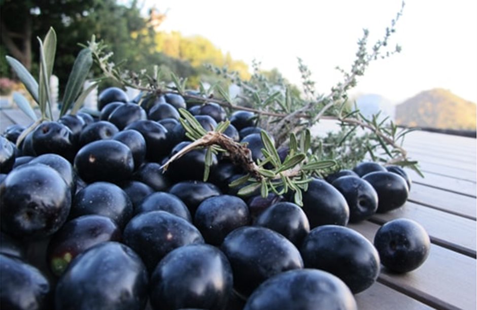 Handmade Freshly Black Olives - Image 3